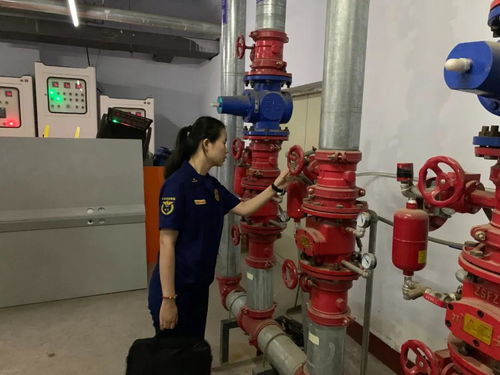 忻州支隊開展2021年全市消防技術(shù)服務(wù)機構(gòu)專項檢查行動